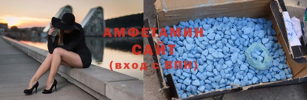 шишки Арсеньев