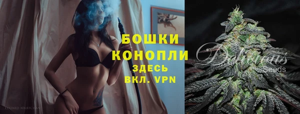 гашик Аркадак