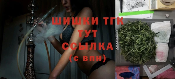 шишки Арсеньев