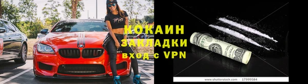 шишки Арсеньев