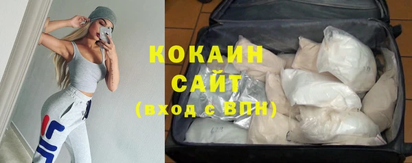 шишки Арсеньев
