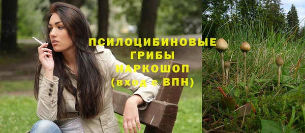 гашик Аркадак