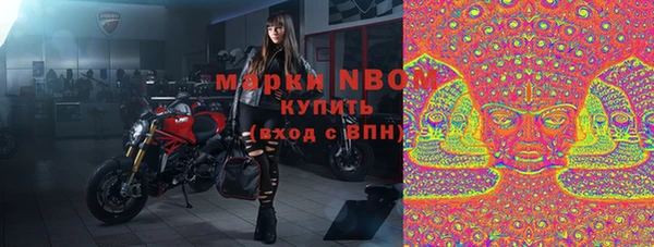 шишки Арсеньев