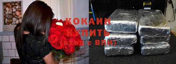 гашик Аркадак
