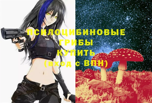 гашик Аркадак