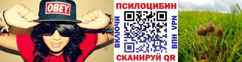 Галлюциногенные грибы Cubensis  Новая Ляля 